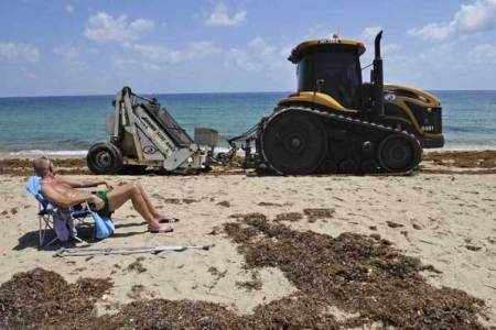 Galt Mile Beach Maintenance